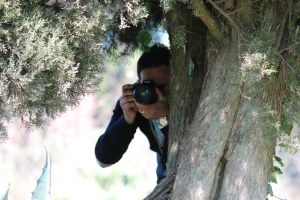 indagini investigative Roma